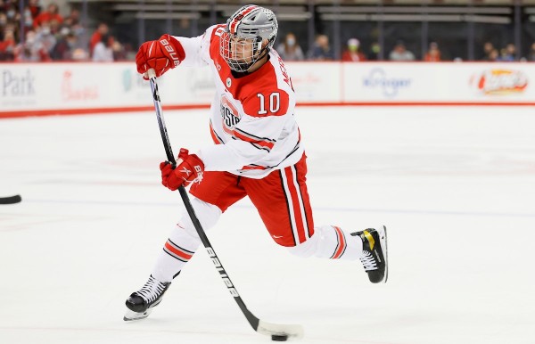 Сохранение Тигров