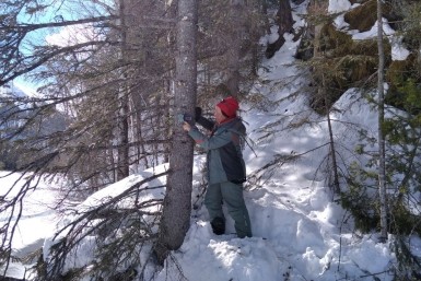 Итоги дня: туризм &mdash; привилегия богатых, самосвал снес внедорожник и возгорание в кафе