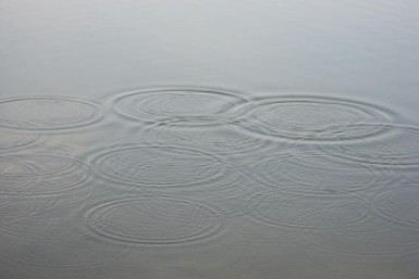 Итоги дня: все на субботник, самая дорогая и дешевая, а у нас Ысыах, что хотят в Фуюане