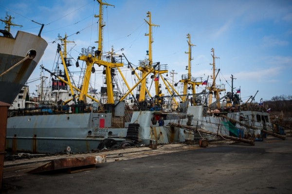 ВАРПЭ просит Минтранс продлить разрешения на плавание почти 1,5 тысячам рыбацких судов