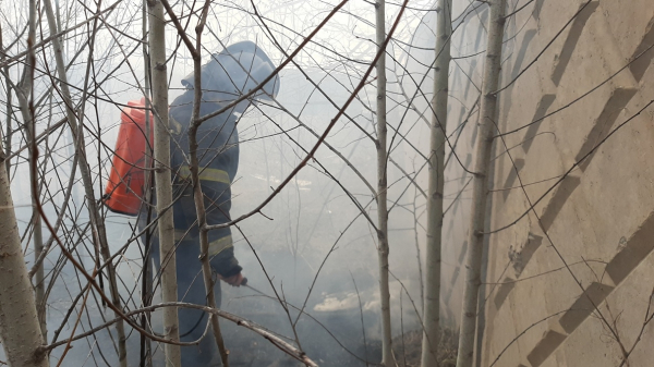 Огненные выходные: с началом майских праздников в Хабаровском крае участились пожары