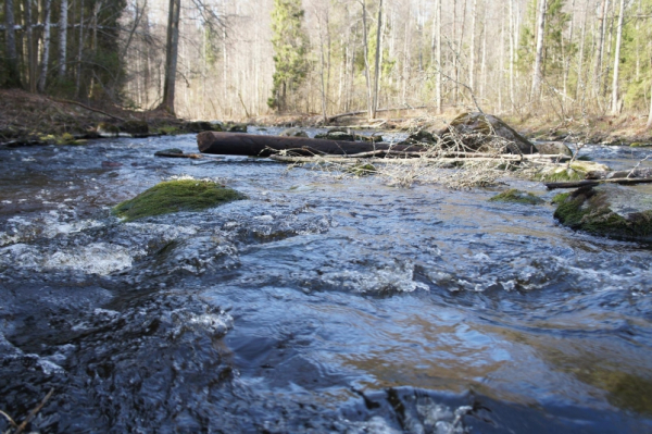Спасатели МЧС России продолжают поиски подростка на реке Силинка в Комсомольске-на-Амуре