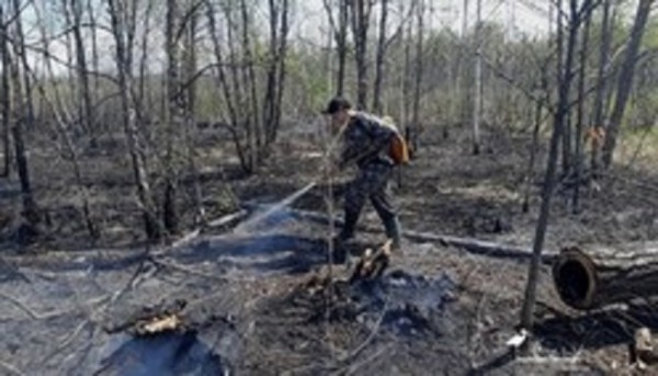 От большого пожара спасли национальный парк в Хабаровском крае