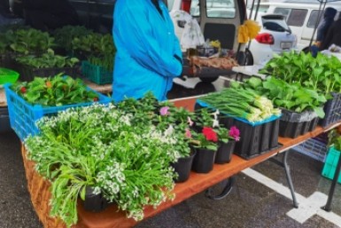 Итоги дня: футбольная победа, "минирование" во время ЕГЭ, спасение от от обезьяньей оспы