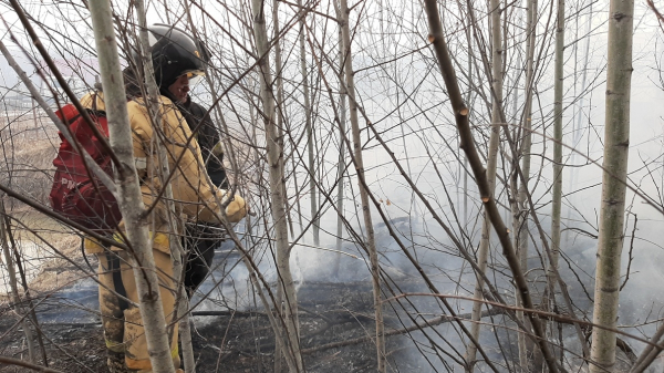 Огненные выходные: с началом майских праздников в Хабаровском крае участились пожары