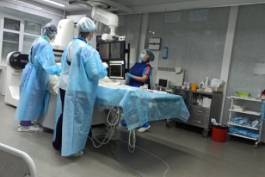 Итоги дня: "липовая" икра, псарня на стадионе, поиск подростка и весна в Хабаровске