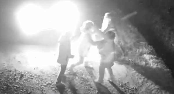 Следком Хабаровского края проводит проверку информации об избиении владелицы приюта