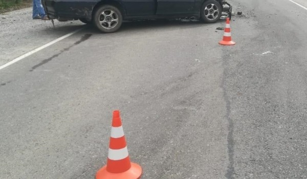 Водитель сбил щенка и уехал с места ДТП в Хабаровске