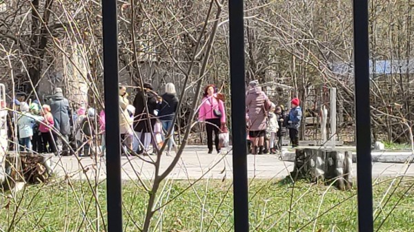 Хабаровские сады и школы вновь "заминировали", теперь через почту краевого Минздрава