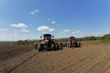 Итоги дня: горожане бегут, поздравления мэра, помощь фермерам и акция "Красная гвоздика"