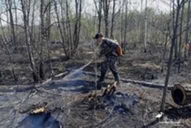 Итоги дня: награды героям, нацпарк спасли от пожара, о яме на Пионерке и прямая линия ВВП
