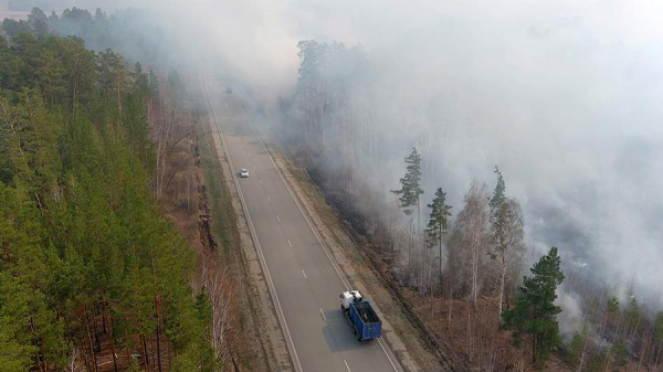 Все лесные пожары ликвидировали в Хабаровском крае
