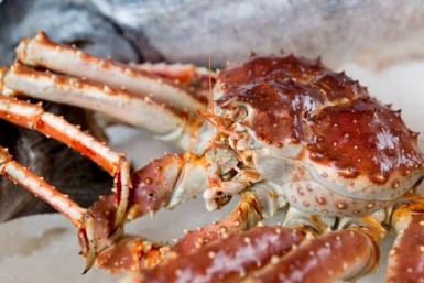 Итоги дня: под суд за призывы, утонул подросток, приговор самому богатому депутату