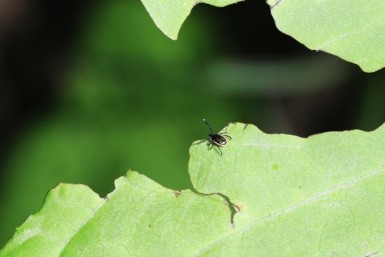 Итоги дня: 20 лет без прописки, Поддубский покидает "СКА-Хабаровск", закрытое кладбище