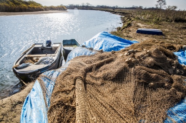 "Уравниловка" в правилах рыболовства для разных бассейнов мешает развитию отрасли
