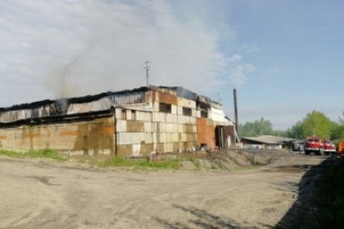 Итоги дня: крупный пожар, вандалы в парке, "заминировали" суд и нападение на полицейского