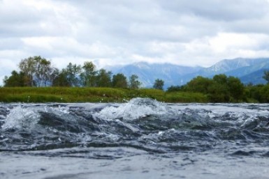 Итоги дня: Амурская регата, воссоединение семьи, отравленная вода, многострадальный "Утёс"