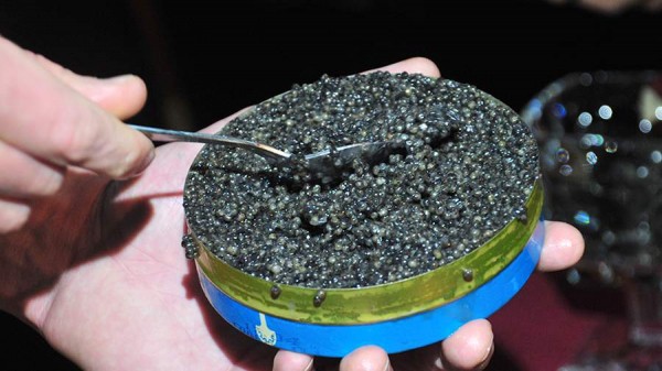 Контрабандистов с черной икрой на 147 млн рублей поймали в Хабаровском крае
