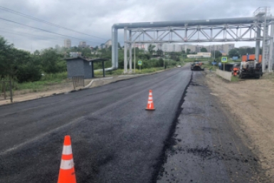 Итоги дня: злые псы, рыбные страсти, десант театралов, богатые продавцы и кража скота