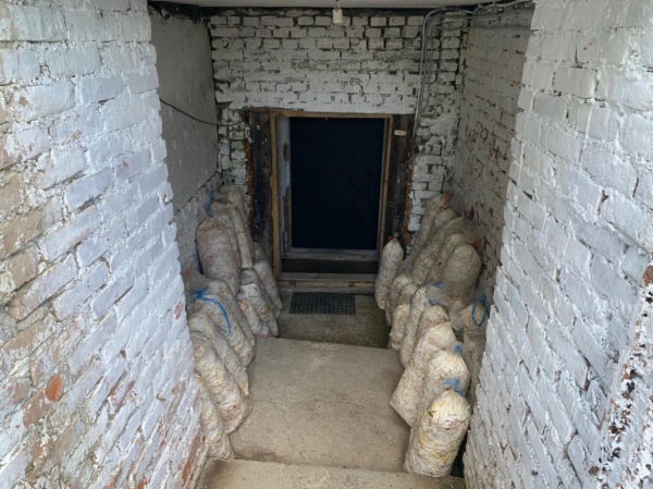 Никто не верил в успех: два парня из Хабаровска создали грибную мини-ферму на ДВ-гектаре&nbsp;