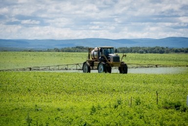 Итоги дня: злые псы, рыбные страсти, десант театралов, богатые продавцы и кража скота