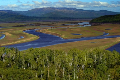 Итоги дня: "царица" с хвостом, новичок в клубе, разговор за 25000 рублей и гибель слесаря
