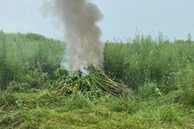 Итоги дня: нападение в аэропорту Хабаровска, трасса в мусором плену, правила для самокатов