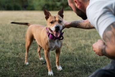 Итоги дня: Маслов о "Золоте Умальты", таксисты просят льгот, ЧС федерального уровня