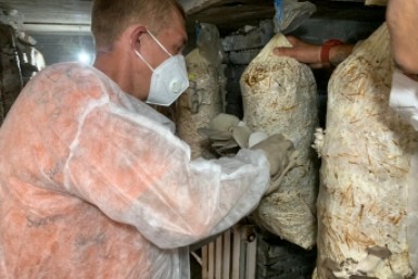 Итоги дня: новый маршрут 35-го, осудили террористов, вешенки по контракту и награды героям