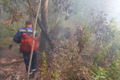 Итоги дня: тайга в огне, риэлтор под следствием, победы на выезде и ограбление банка