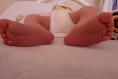 Итоги дня: потолок на головы, регоператор в деле, "нет" стихийным рынкам и болеем за наших