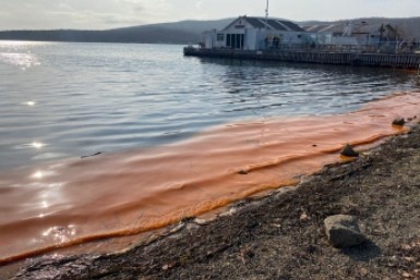 Итоги дня: оставили ребенка в закрытой машине, несколько человек утонули, скандалы в офисе