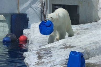 Итоги дня: новый маршрут 35-го, осудили террористов, вешенки по контракту и награды героям