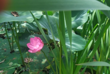 Итоги дня: тайга в огне, риэлтор под следствием, победы на выезде и ограбление банка