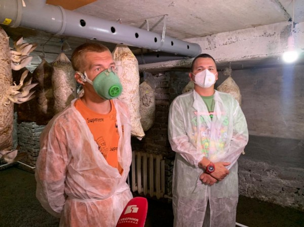 Никто не верил в успех: два парня из Хабаровска создали грибную мини-ферму на ДВ-гектаре&nbsp;