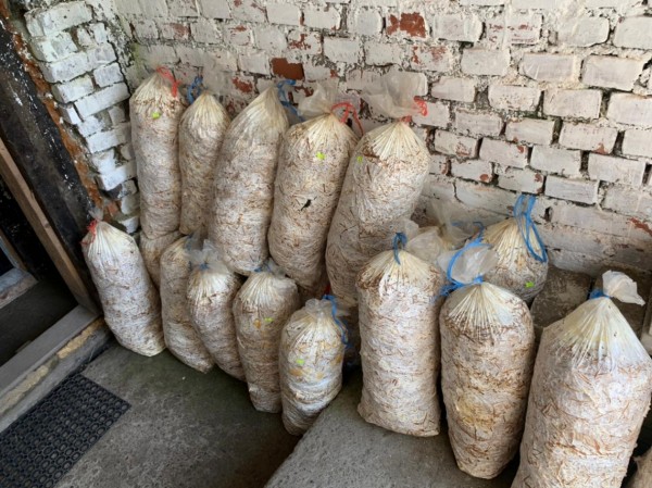 Никто не верил в успех: два парня из Хабаровска создали грибную мини-ферму на ДВ-гектаре&nbsp;