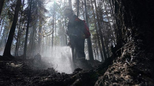 В Хабаровском крае ввели режим ЧС из-за лесных пожаров
