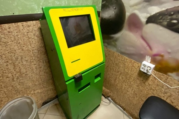 Организатора подпольного казино задержали в Комсомольске-на-Амуре