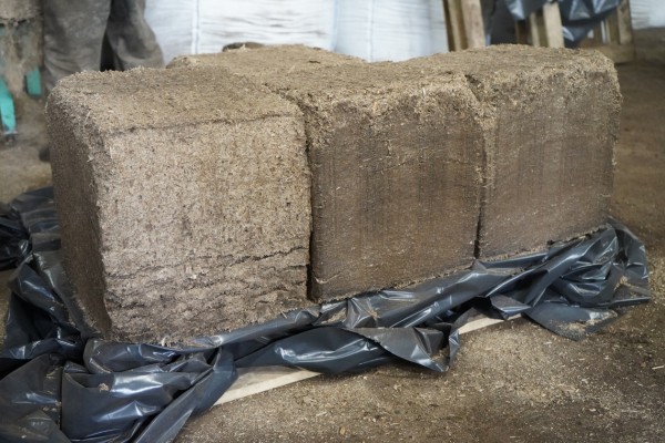 Хабаровское ноу-хау: продукция из отходов завода увеличила скорость роста растений на 30%