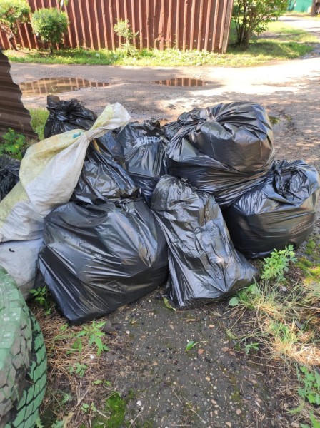 Сор из избы: ветеран труда в Хабаровске второй месяц просит регоператора вывезти мусор