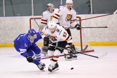 Итоги дня:  потушен пожар, сбор урожая, мошенническая атака