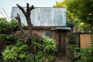 Итоги дня: новое назначение в мэрии, едва не сломали шеи в автобусе и лотос Комарова