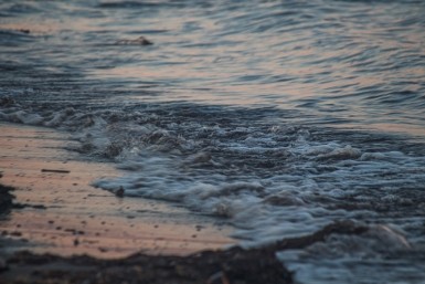 Итоги дня: затраты возместят, ливни-грозы, мультикампусу быть и спасение водителя