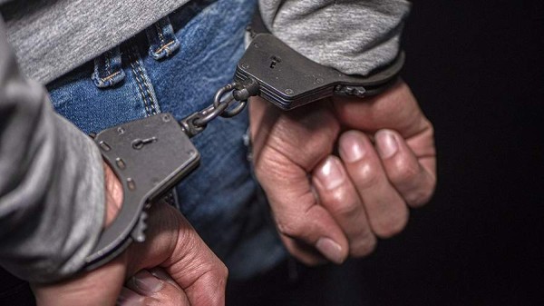 Житель Хабаровского края осужден за жестокое обращение с животным
