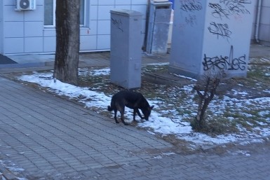 Итоги дня: пенсионерка-доброволец, бюджет бюджету рознь и дебошир угрожал и мешал врачам