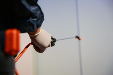 Итоги дня: битва за Совгавань, детсад на карантине, подорожание проезда и влияние Кролика