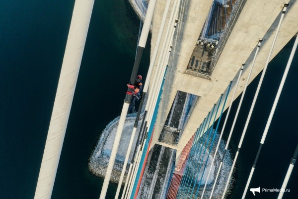 Как 12 мм льда поставили город на колени &mdash; история беспощадной ледяной блокады Владивостока в 2020 году