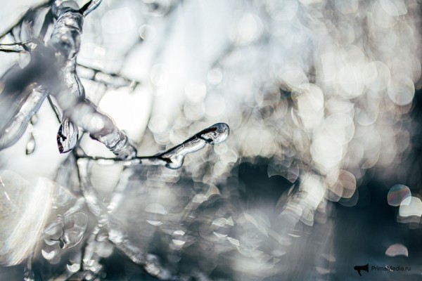 Как 12 мм льда поставили город на колени &mdash; история беспощадной ледяной блокады Владивостока в 2020 году