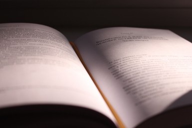 Итоги дня: криминальные коровы, 200000 рублей за задержку рейса и война с ЛГБТ-пропагандой