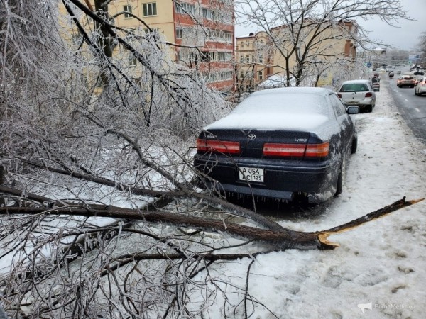 Как 12 мм льда поставили город на колени &mdash; история беспощадной ледяной блокады Владивостока в 2020 году